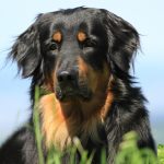 IMGL8389 – Kopie (2)