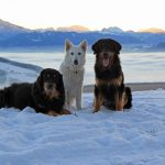 IMG_6499 – Kopie (2)