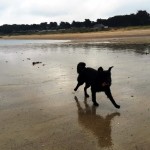 20150831_131511_resized