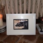 20151010_193338_resized