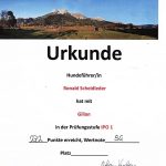 Urkunde IPO1 (2)