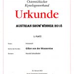 show-winner2018