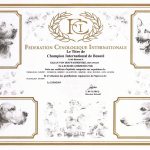 Int. Champion C.I.B_0002