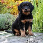Lennox
