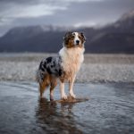 250411_vanderegg-2.jpg_Fotoreise_FreitagAbend_WEB-8-2