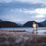 250411_vanderegg.jpg_Fotoreise_FreitagAbend_WEB-6