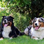 4H5A3378 Kopie_1verkl