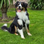 20250905_104834(1)(1)