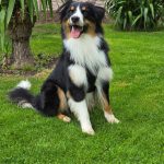 20250905_104834(1)(1)