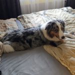 IMG-20251022-WA0000(1)