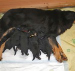 Titelbild_zwei_Wochen